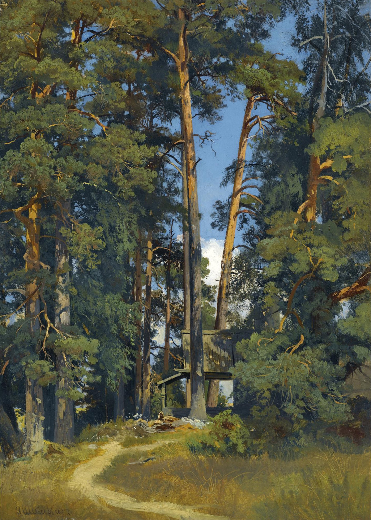 woodland grove